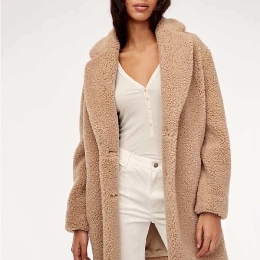 Aritzia Teddy Coat Wilfred Free